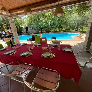 Casa vacanze Loft Mansardato Con Giardino E Piscina In Privata Loft With Garden And Swimming Pool In A Private, Sestu